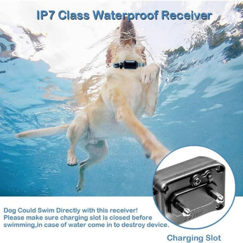 Remote control electric dog training collar with black adjustable strap and receiver on a light background