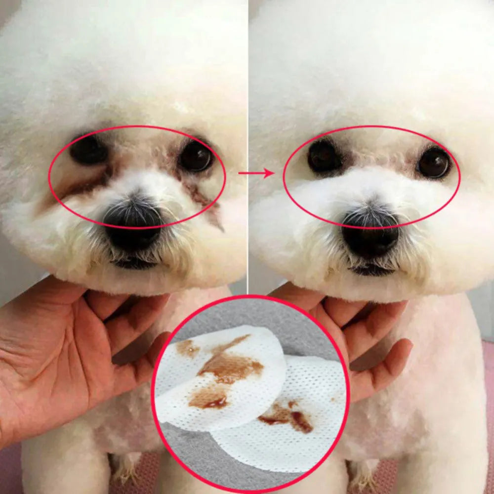 White cotton pet eye grooming wipes for dogs and cats, 100 pieces, for tear stain cleaning