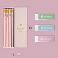 HB mixed colour pencil set with purple glitter and pale pink variants in display box packaging