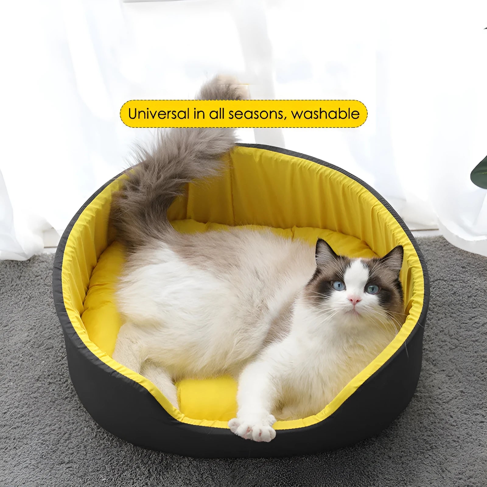 A black cloth pet kennel for a medium-sized dog resting on a carpet.