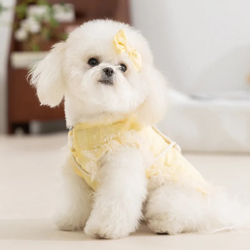Small dog wearing yellow two-tone country shoulder bag outfit with matching bow and woven crossbody bag