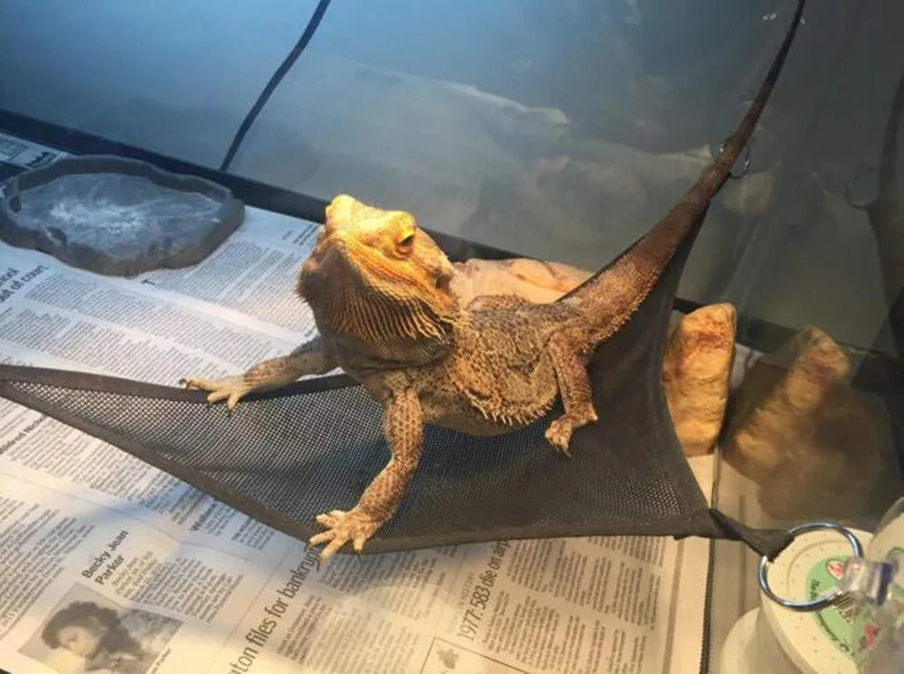 Reptile hammock set of 2 with sucker design in green, size 33x33x33cm, placed in a pet tank