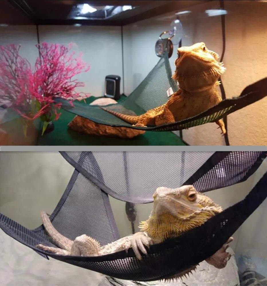 Reptile hammock set of 2 with sucker design in green, size 33x33x33cm, placed in a pet tank