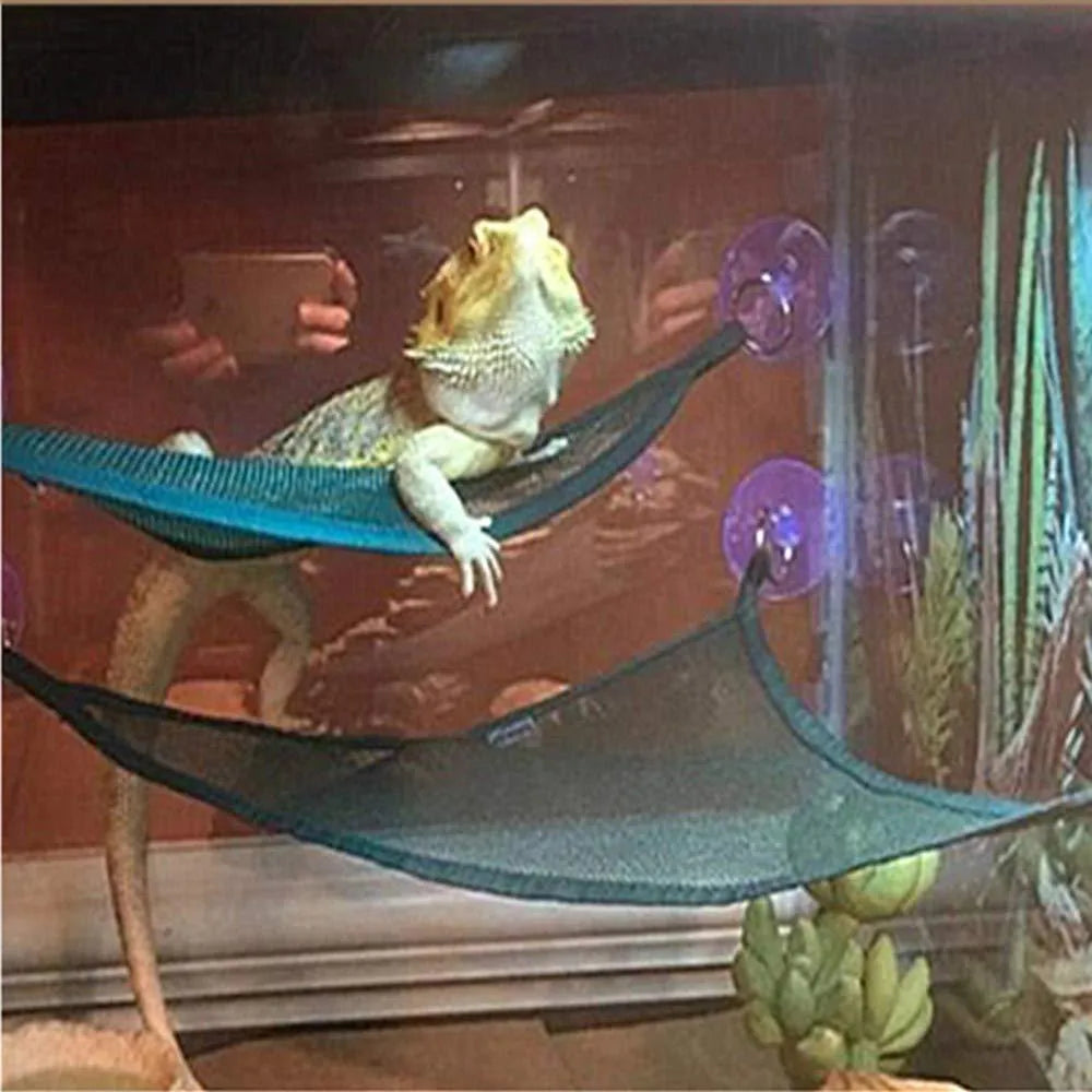 Reptile hammock set of 2 with sucker design in green, size 33x33x33cm, placed in a pet tank