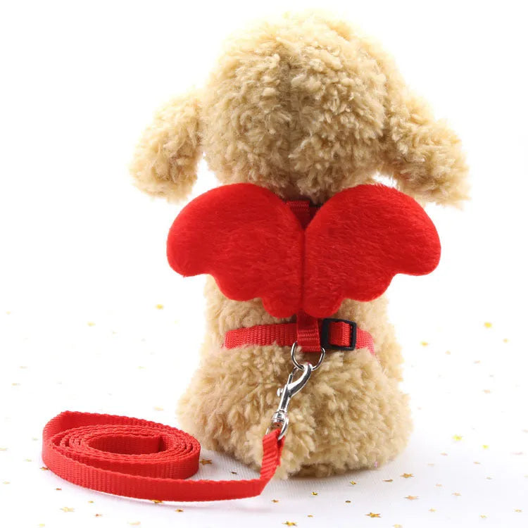 Cute Angel nylon dog leash in blue colour on a plain background