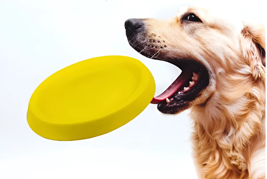Yellow EVA plastic dog throwing toy for outdoor training and fetch games