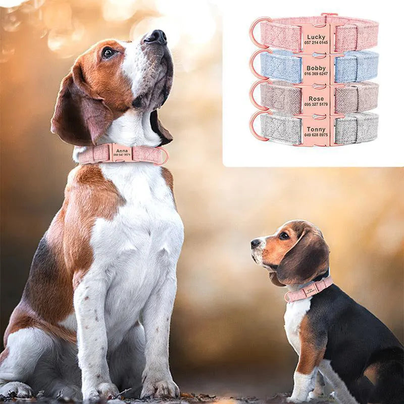 Engraved anti-lost dog collar in pink, blue, grey or brown non-woven fabric, sizes S M L, with optional towing rope