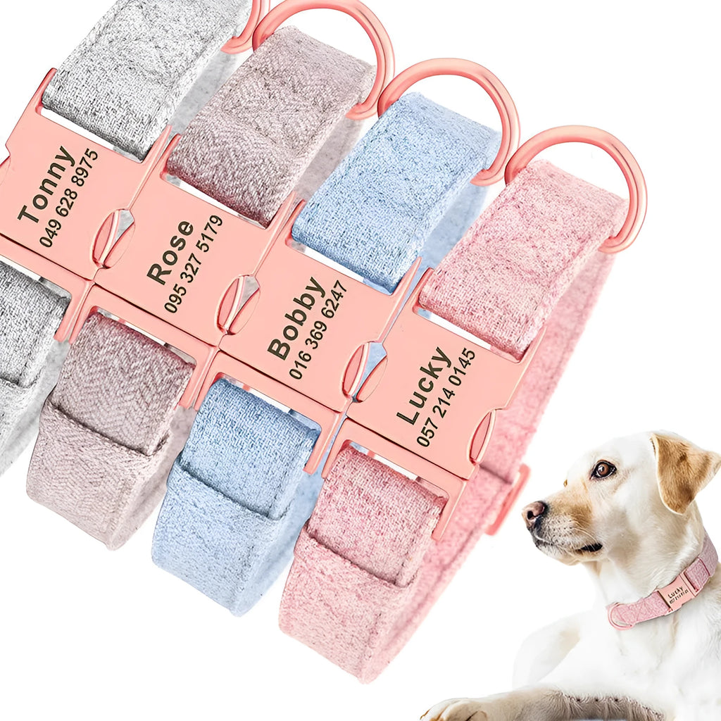 Engraved anti-lost dog collar in pink, blue, grey or brown non-woven fabric, sizes S M L, with optional towing rope