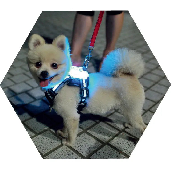 USB rechargeable LED luminous silicone dog collar with 7 colour modes, suitable for small to large dogs