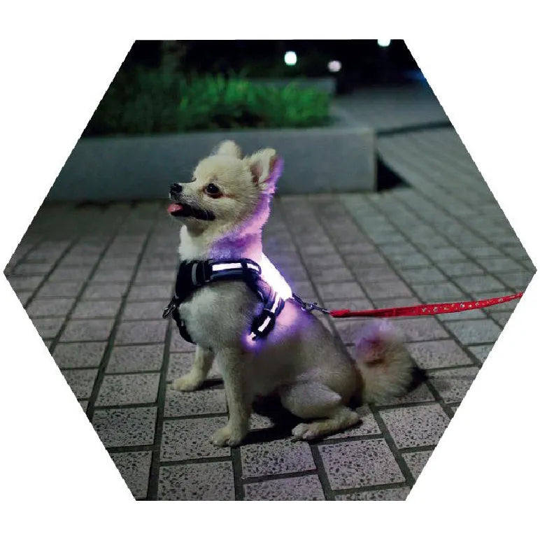 USB rechargeable LED luminous silicone dog collar with 7 colour modes, suitable for small to large dogs