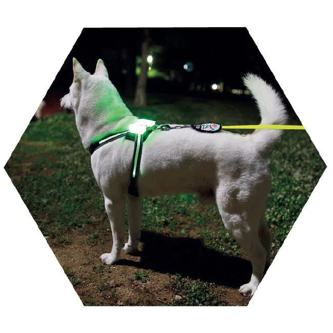 USB rechargeable LED luminous silicone dog collar with 7 colour modes, suitable for small to large dogs