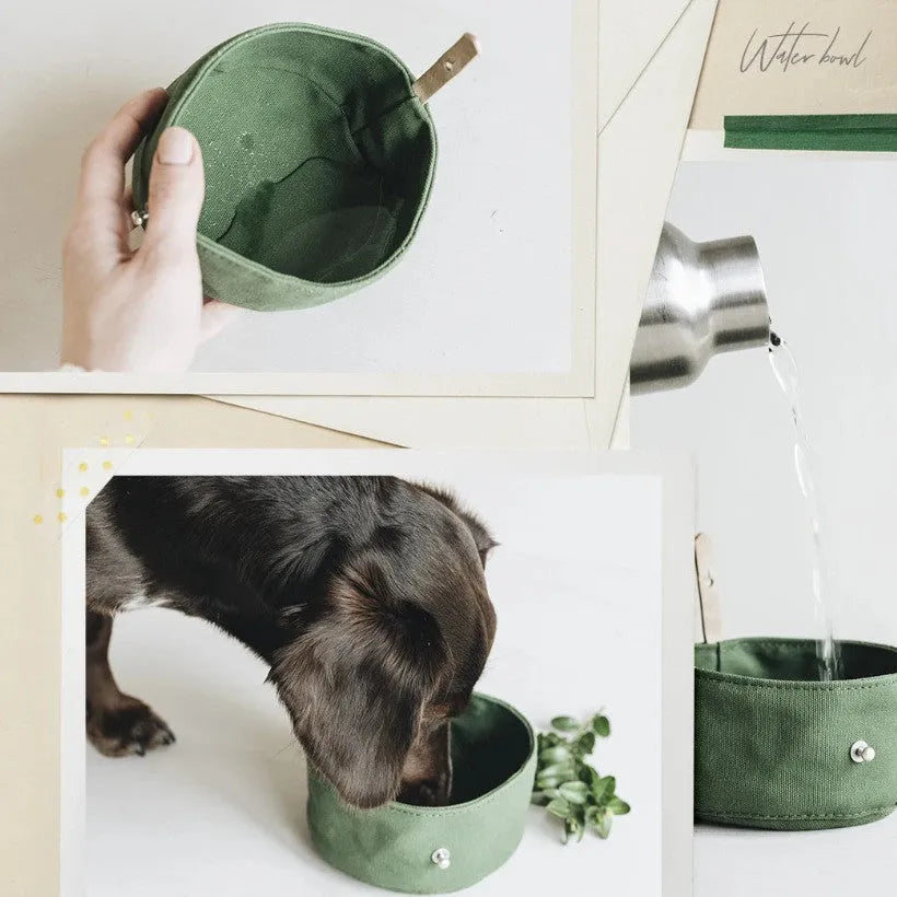 Folding canvas dog bowl in green, grey or yellow, 15cm diameter and 7.5cm high, for dry food or water.