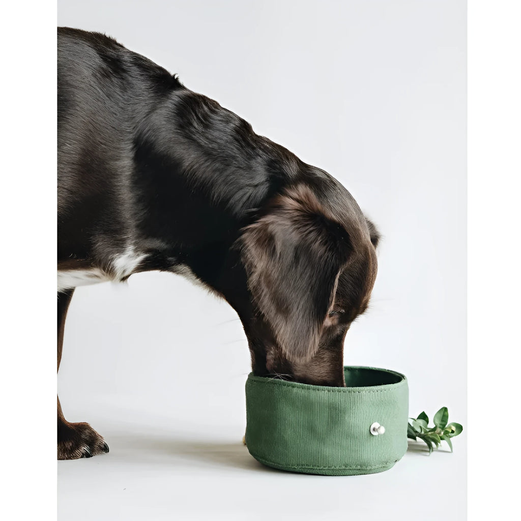 Folding canvas dog bowl in green, grey or yellow, 15cm diameter and 7.5cm high, for dry food or water.