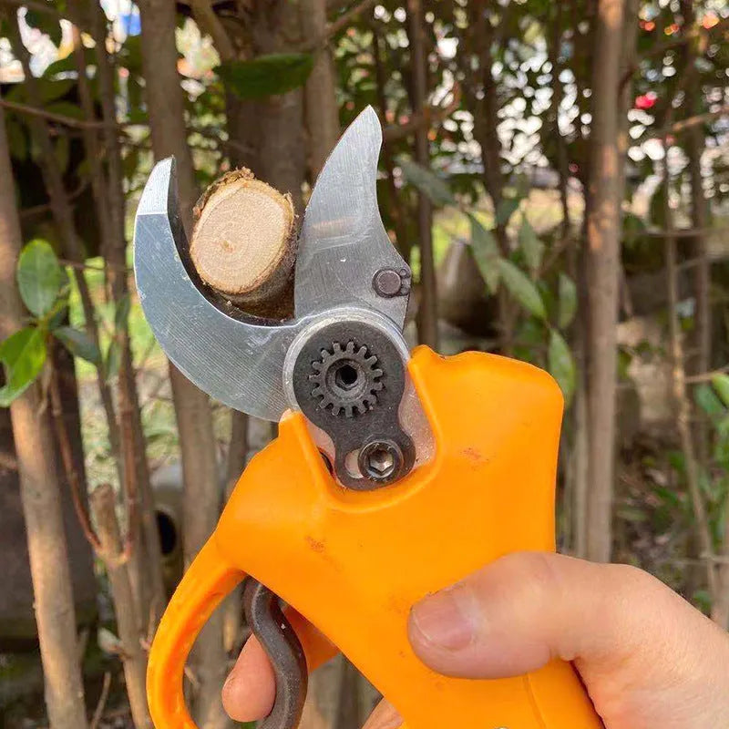 Double Silver SY350 handheld electric garden scissors with lithium batteries for fruit tree branch pruning