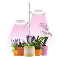 Compact desk plant growth lamp with full spectrum light for indoor plants.
