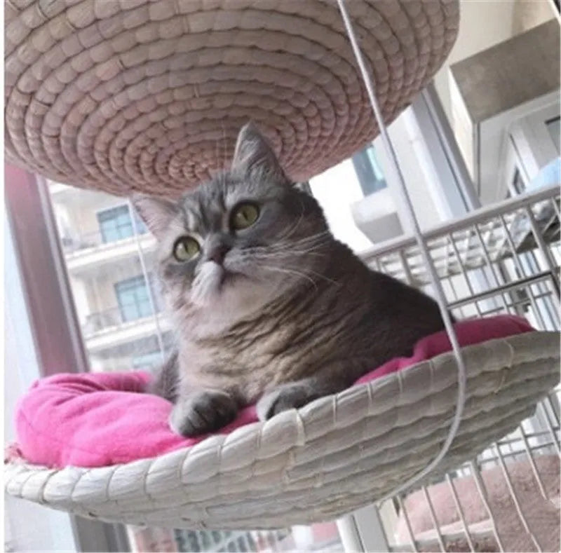 Cat climbing frame in sky blue with hammock, scratching frame, and litter storage for medium cats
