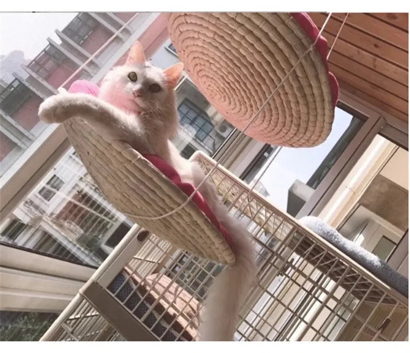 Cat climbing frame in sky blue with hammock, scratching frame, and litter storage for medium cats