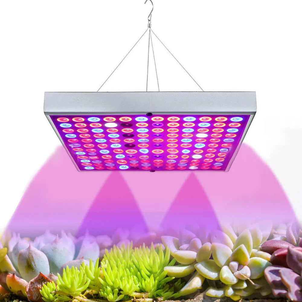 25W LED plant supplement light with 75 LEDs, 1000lm, ABS housing, 310x119x29.5mm, silver finish