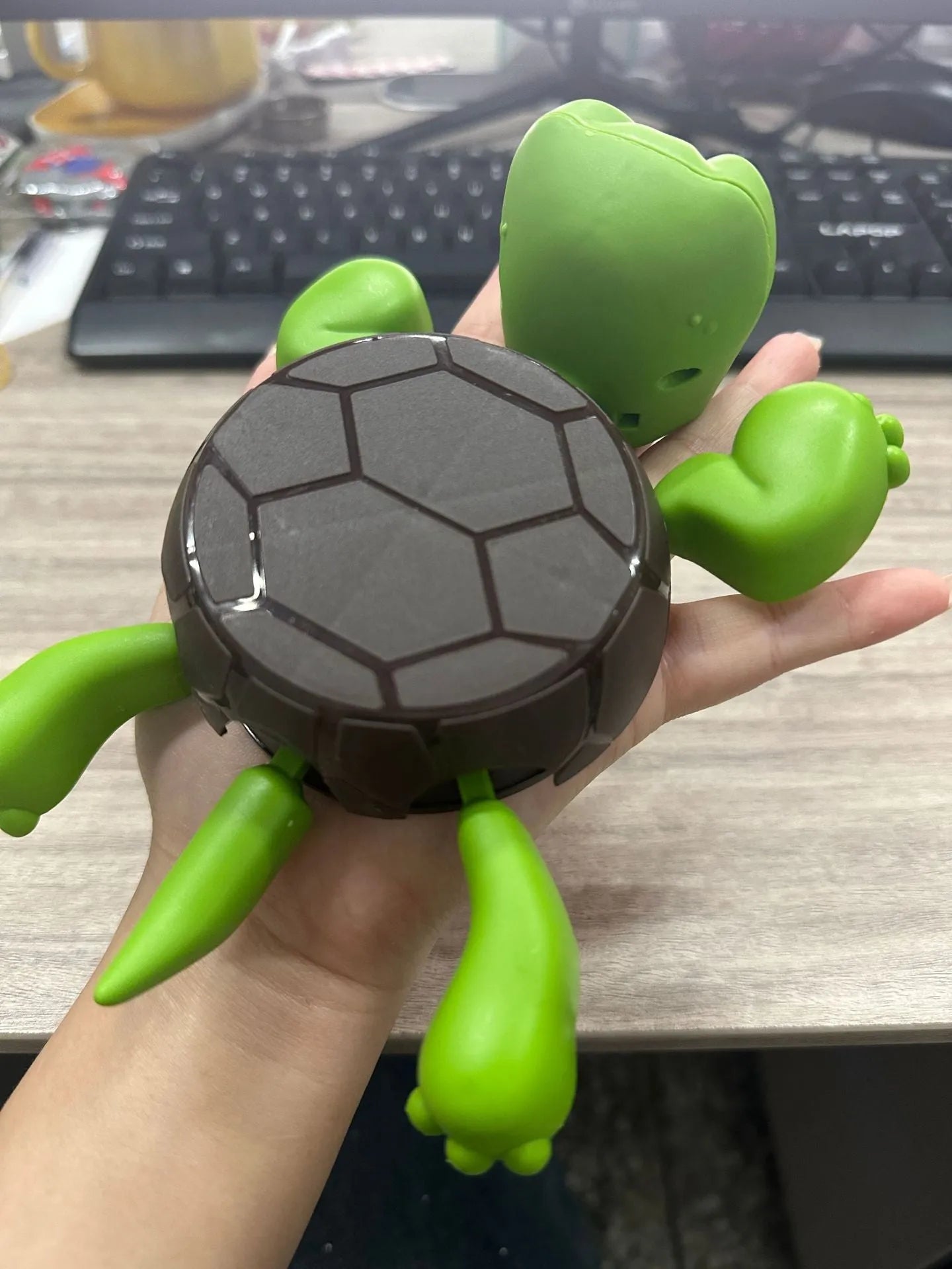 Turtle-shaped ABS plastic coaster in light green on a wooden table