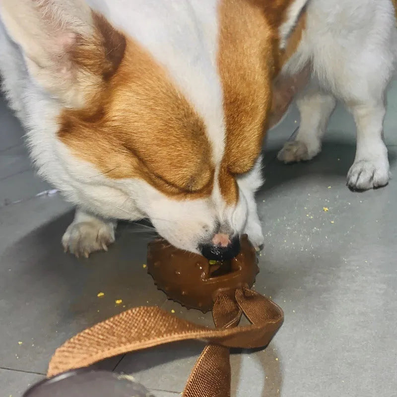Coffee bean shaped TPR rubber dog chew toy with knotted rope centre in brown colour