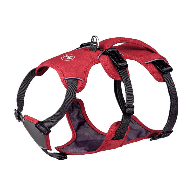 Nylon dog harness with hand holding rope lead in red, orange, blue, grey, or reflective round rope, sizes XXS to L