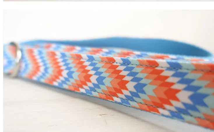 Money loop dog leash set in orange blue with polyester running rope on white background
