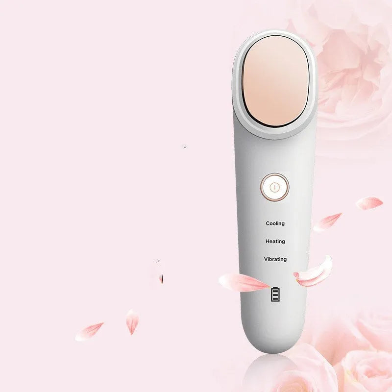 White ion beauty equipment with USB recharge cable, PC ABS body, five skincare functions