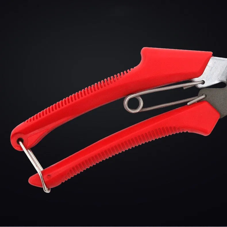 Red-handled SK5 steel pruning scissors 200mm total length 50mm blade on white background