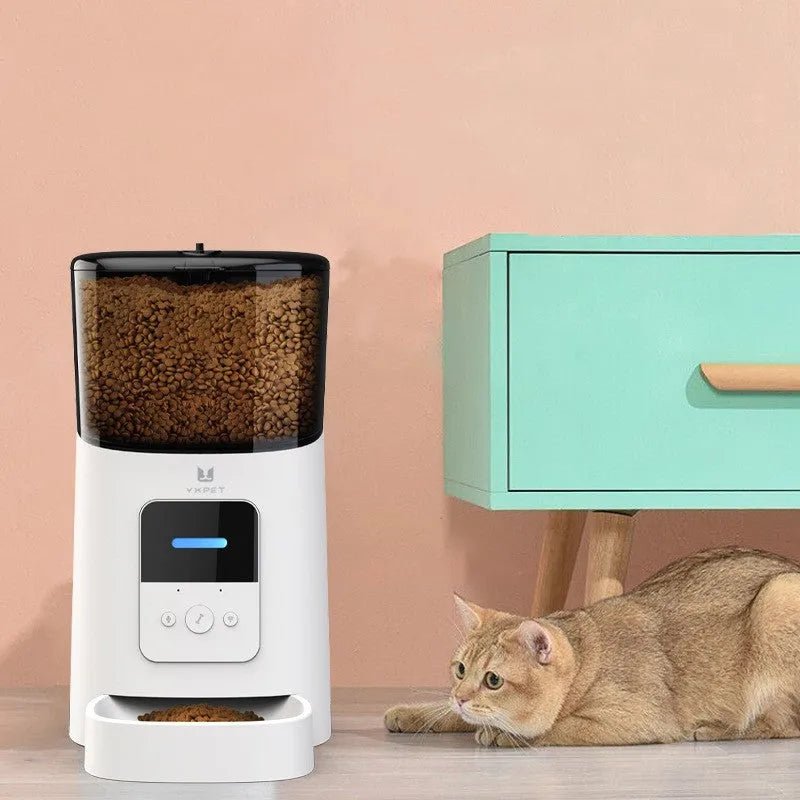 Pet automatic smart feeder in diamond black colour with removable top for dogs and cats