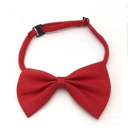 Adjustable dog and cat bow tie neck tie for puppies and small pets in multiple colours including black, red, blue, pink and white