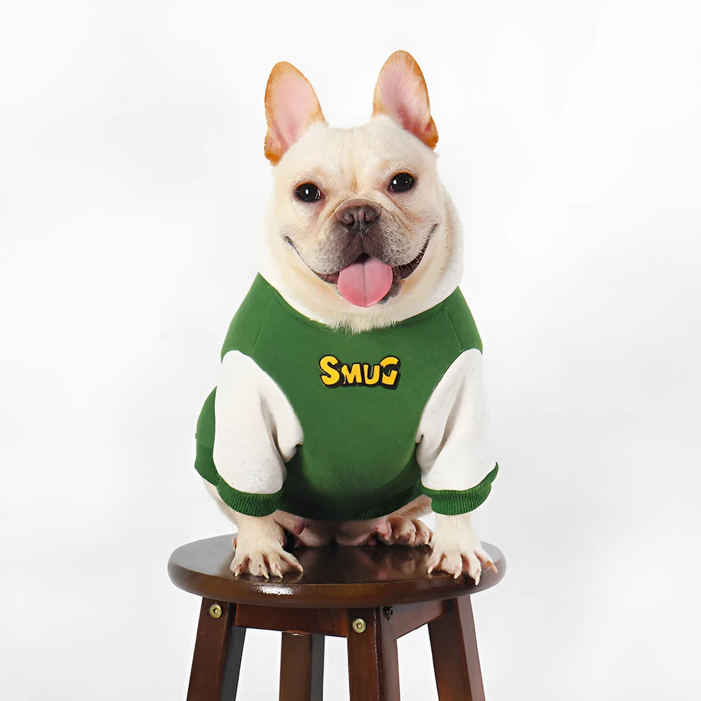 Green cotton dog jumper or coat for larger breeds in sizes L, XL, 2XL, 3XL, and 4XL.