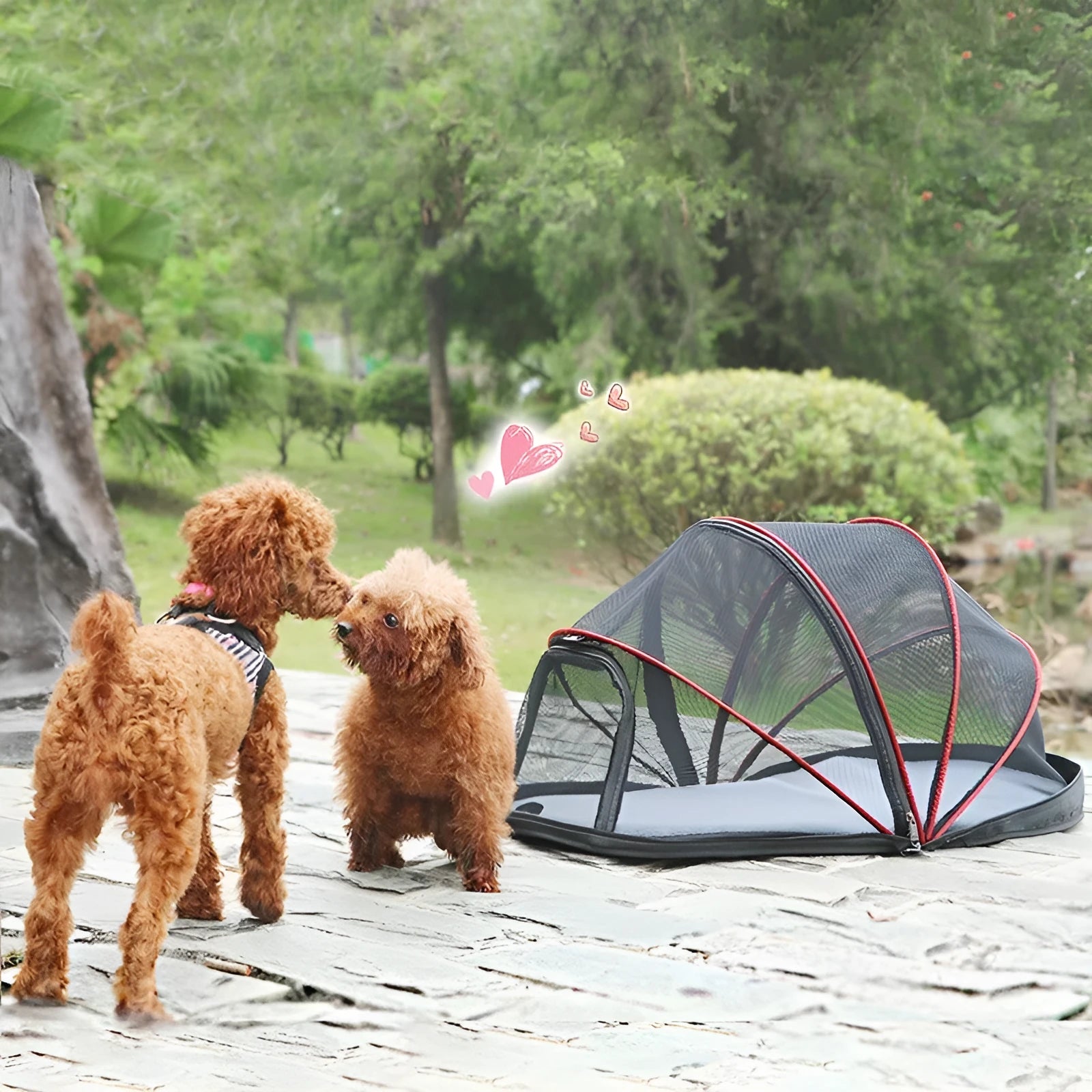 Pet folding tent in black or blue half mesh design for cat travel and indoor use