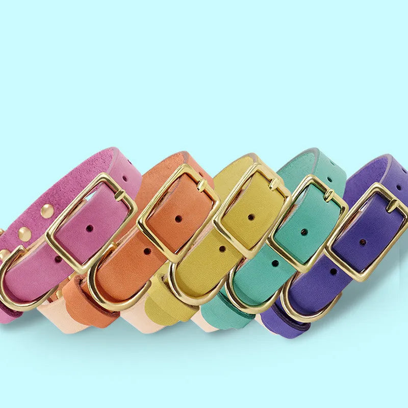Leather cat collar in green, rose red, orange, purple or yellow with adjustable S or M size and optional lettering plate.