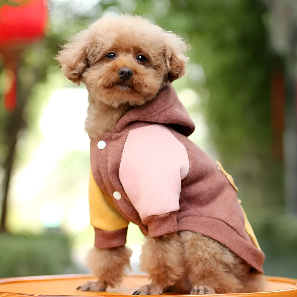 A brown cotton dog sweatshirt shown on a mannequin, with size tags for XS to 2XL.