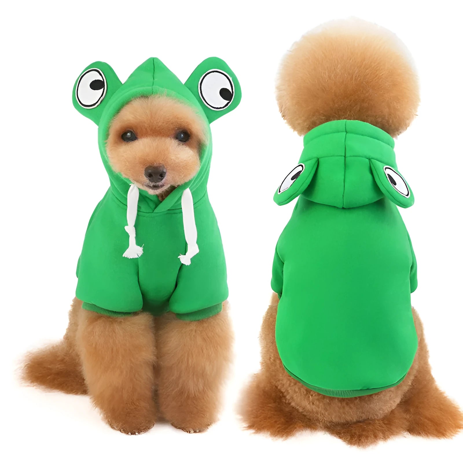 Frog Dog small medium dog sweater in Bee Vest style, polyester fleece, sizes S to XXL, colourful pet clothing