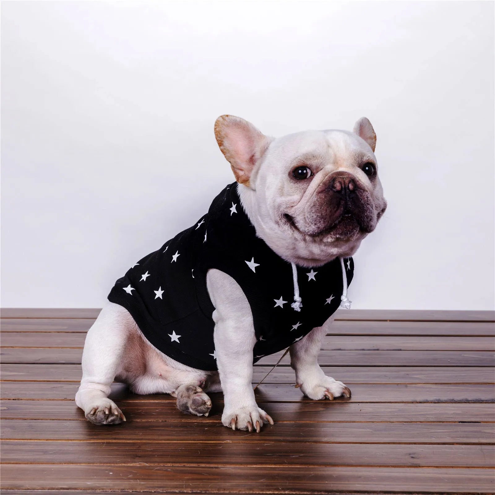 Black printed cotton casual sweater for dogs and cats available in sizes XS to XXL