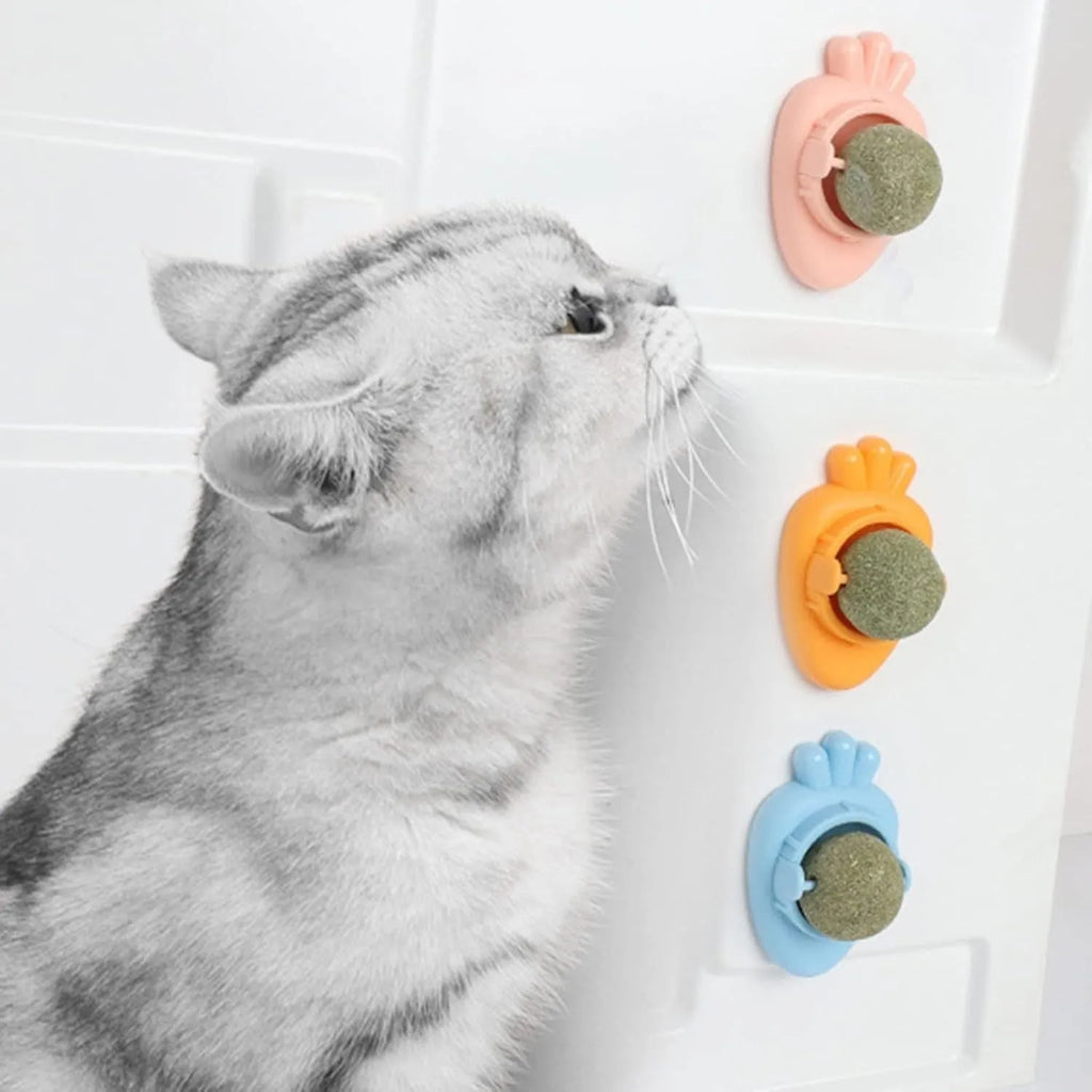 Blue self-adhesive catnip carrot toy for wall mounting and teeth cleaning