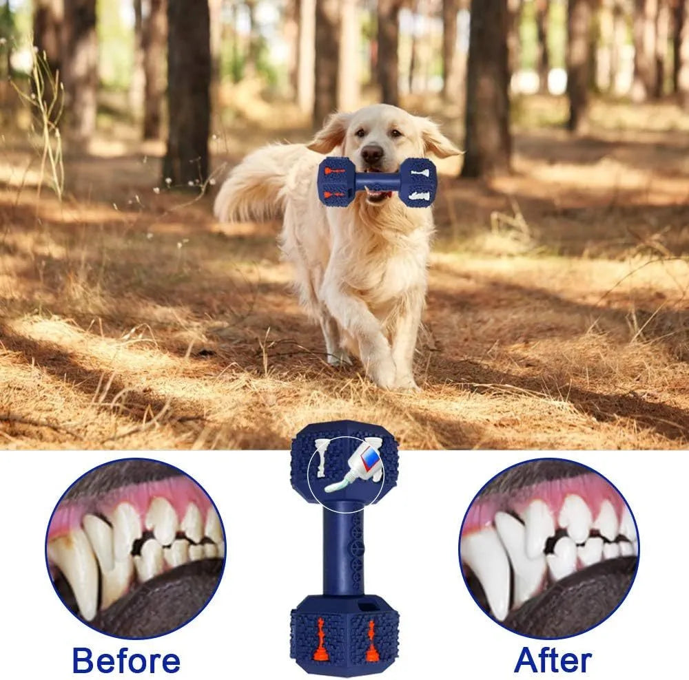 Blue durable rubber dumbbell dog chew toy with textured surface and hollow ends for treats.