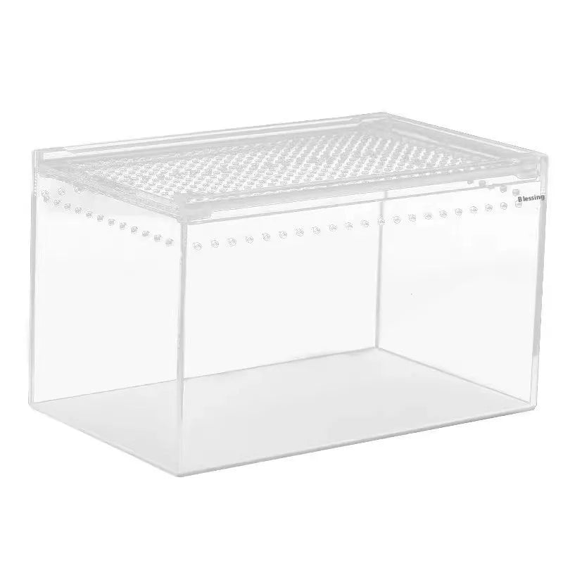 Transparent acrylic reptile feeding box showing ventilation design and clear PC construction