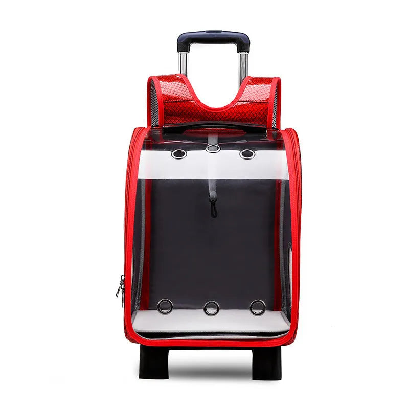 Transparent folding pet trolley shoulder bag for small dogs and cats with 12 Jin capacity