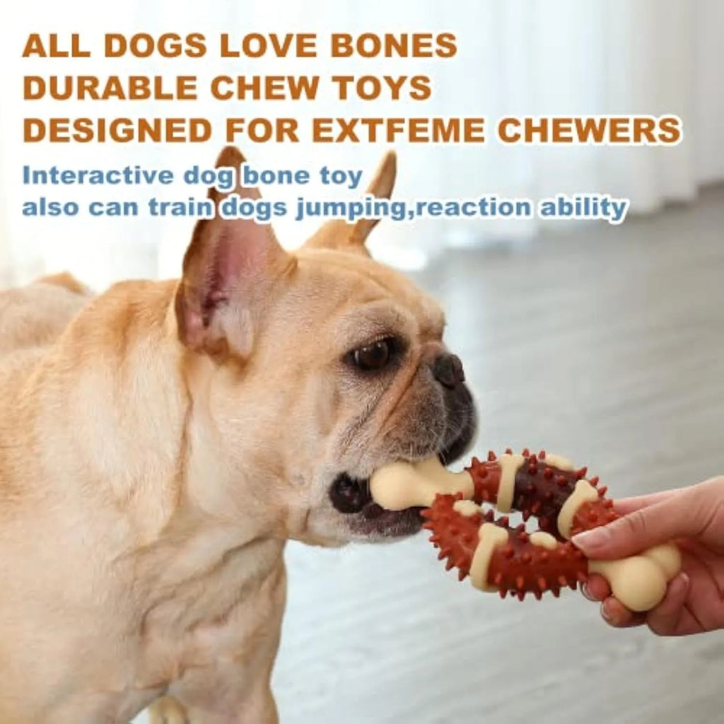 Natural rubber bone-shaped dog dental chew toy in two sizes for teeth cleaning and anxiety relief