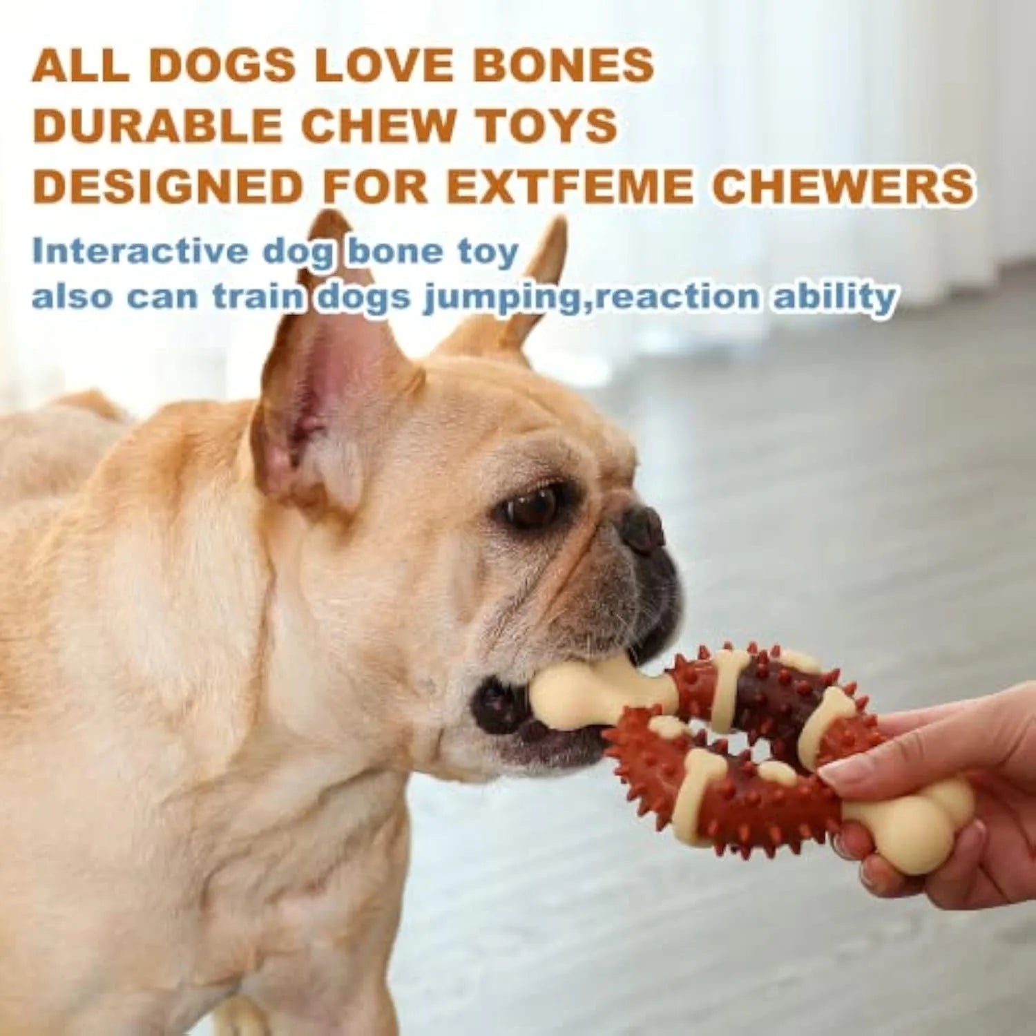 Natural rubber bone-shaped dog dental chew toy in two sizes for teeth cleaning and anxiety relief