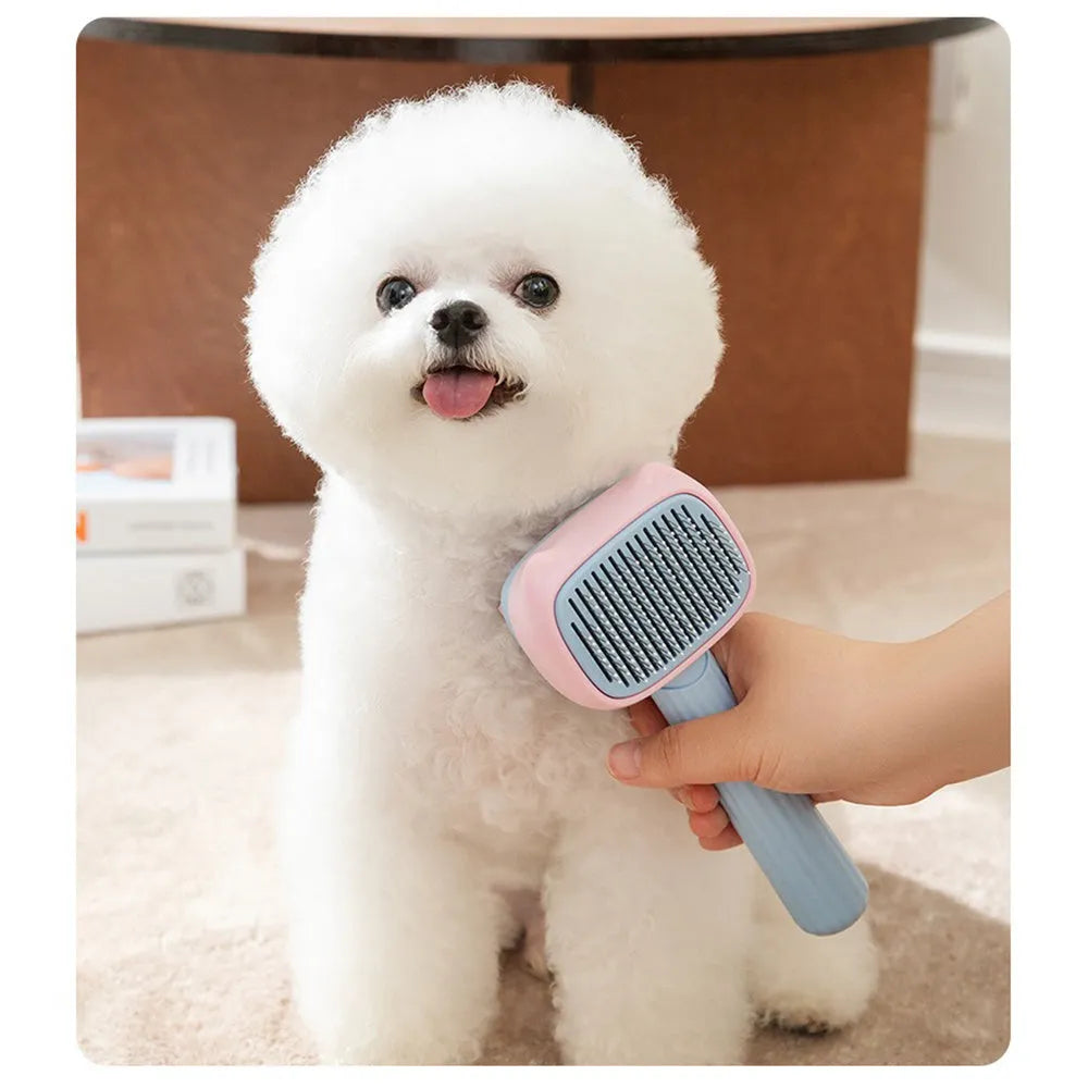 Blue double-sided dog deshedding brush with undercoat rake and dematting comb