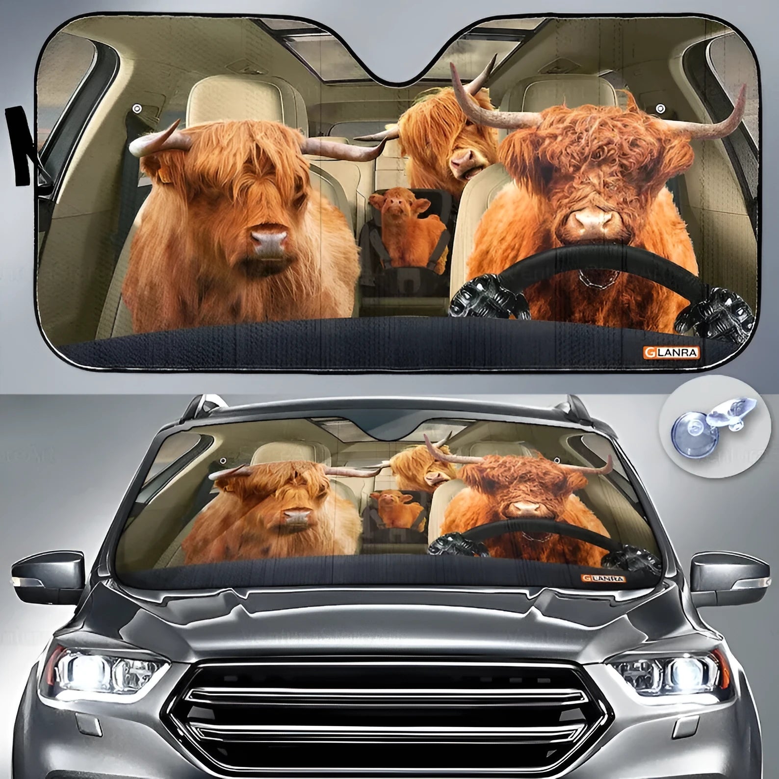 Telescopic aluminium foil car sun shield expanded on a dashboard