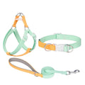 Polyester dog collar and leash set in bright two-colour combination showing collar, hand-held rope, and chest strap components