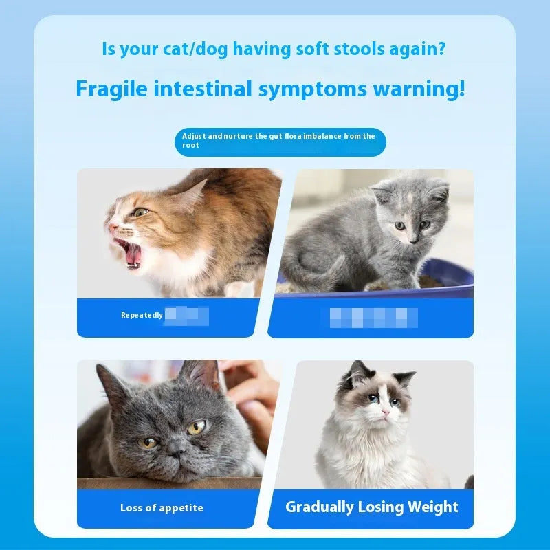 Bottle of 180 pet active probiotic tablets for dog and cat digestive health support