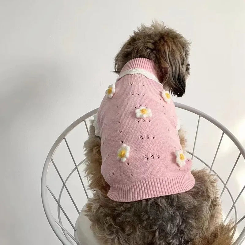 Green flower blossom pattern knitted sweater on a small dog, showing size and style.