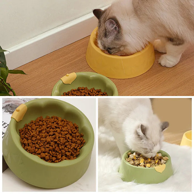 Green plastic double pet bowl for dog and cat food and water on a white background