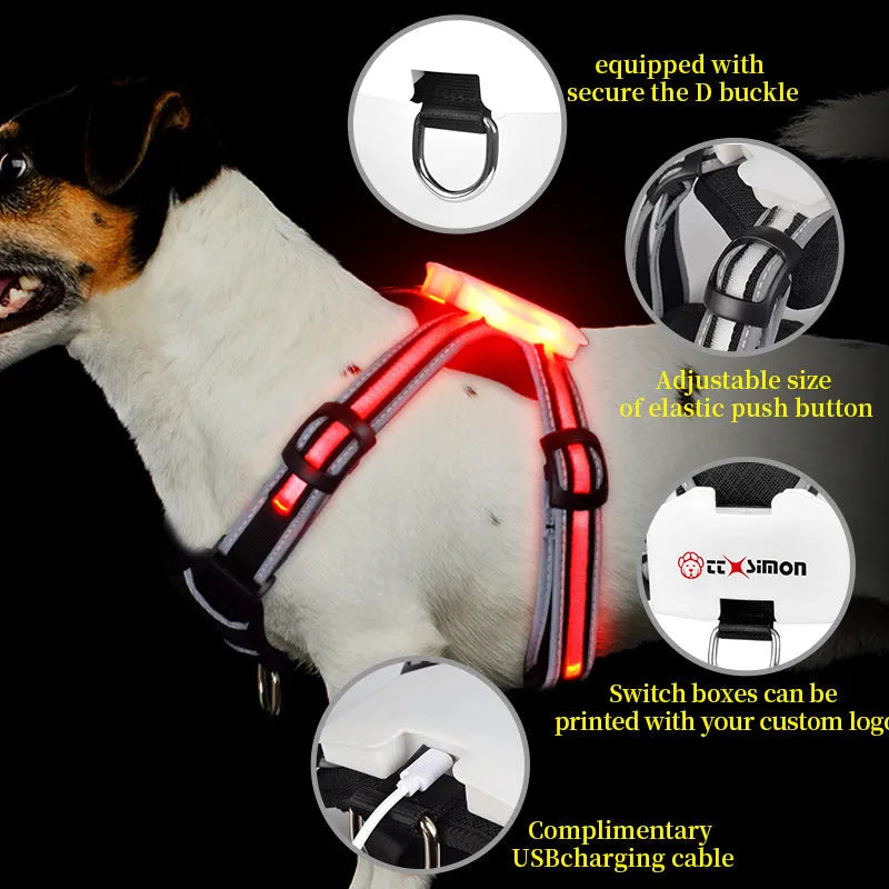 Nylon dog lead with a glowing seven-colour luminous strap and a USB charging cable.