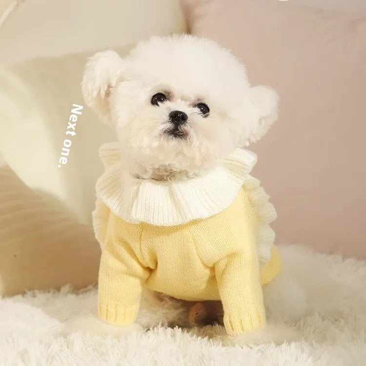 Yellow XINGX pattern acrylic dog sweater on a small dog, showing casual knitwear style.